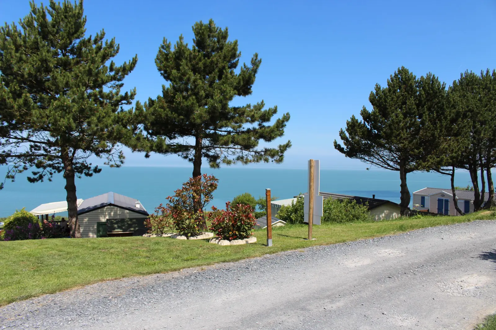 Les pins du camping, la mer en contrebas